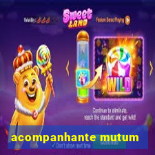 acompanhante mutum